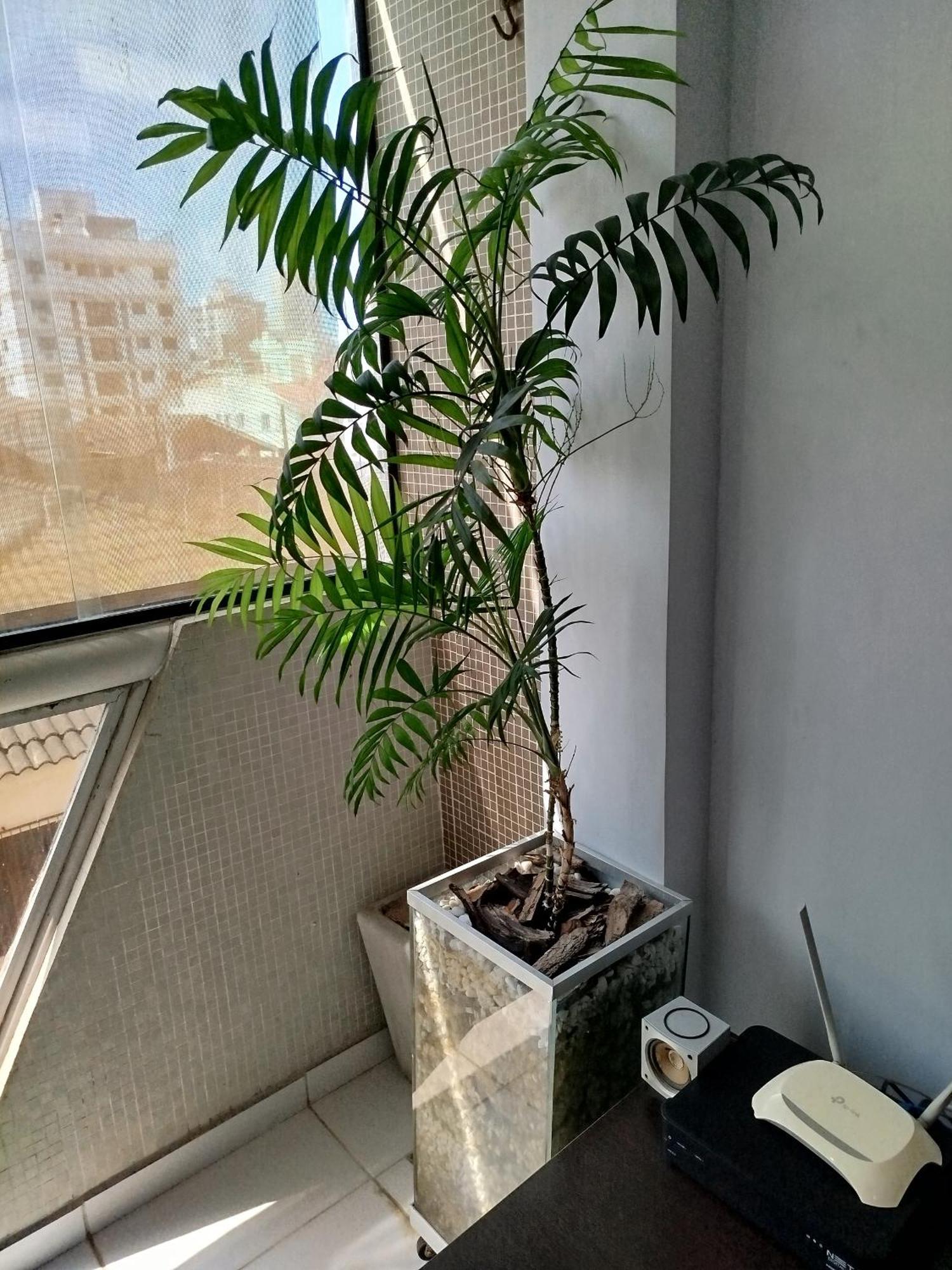 Apartamento Impecavel Na Enseada Guaruja Bagian luar foto